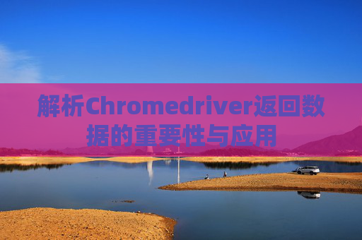 解析Chromedriver返回数据的重要性与应用
